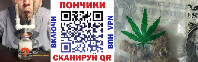 Бошки Шишки сатива  Южно-Сухокумск 